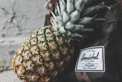 Mochilas Herschel y los modelos más destacados de la marca