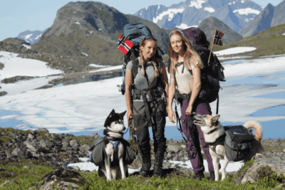 Mochilas para perros y los aspectos más importantes al elegir una